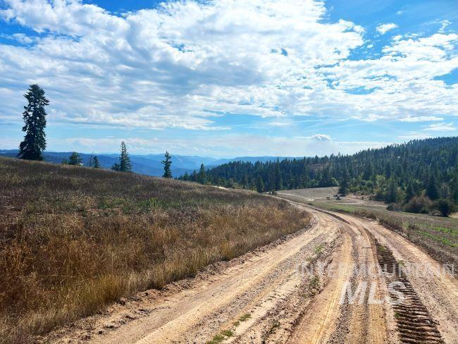 Nka Freeman Creek Road Ahsahka, ID 83520 - Photo 18 of 28