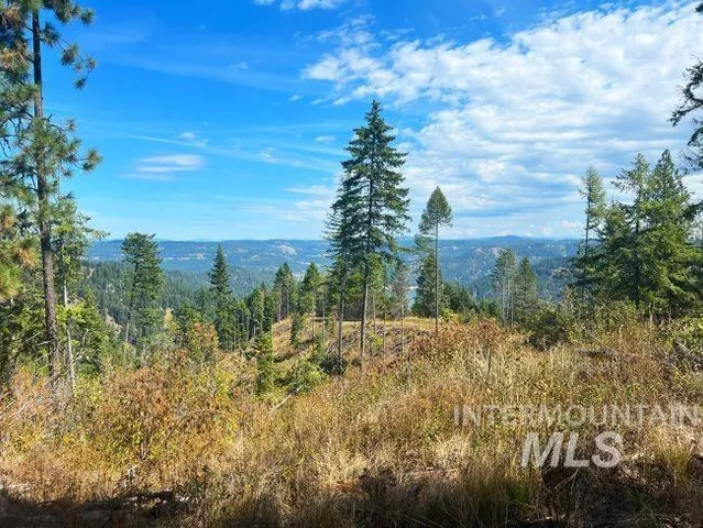 $5,600,000 | Nka Freeman Creek Road, Ahsahka, ID 83520