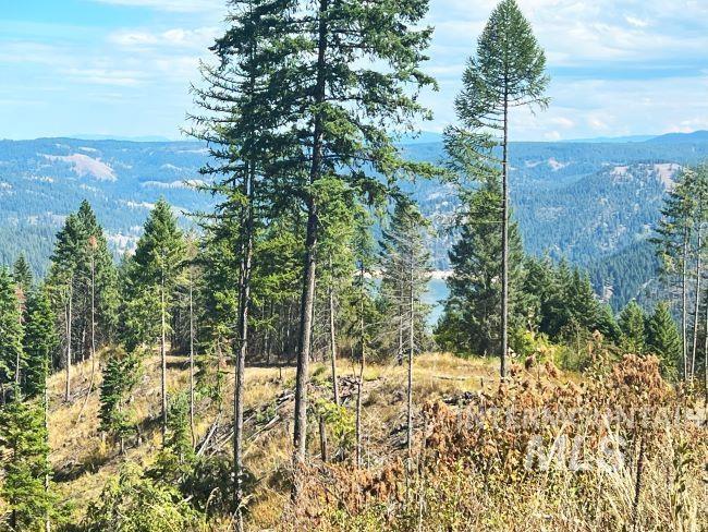 Nka Freeman Creek Road Ahsahka, ID 83520 - Photo 20 of 28