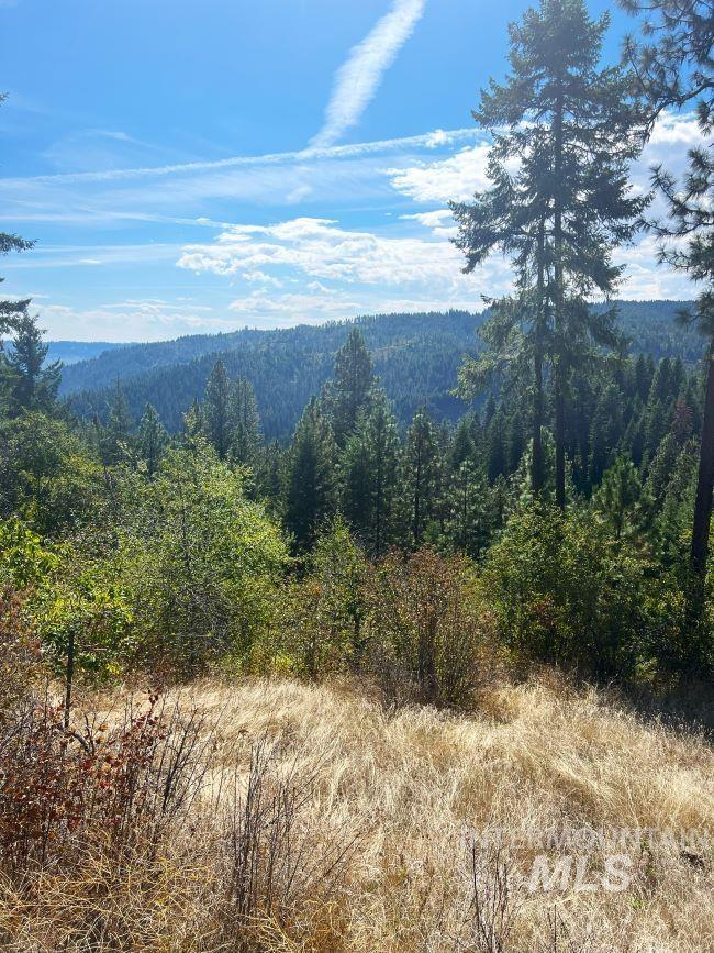 Nka Freeman Creek Road Ahsahka, ID 83520 - Photo 21 of 28