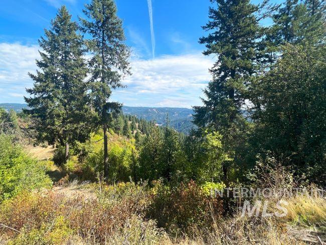 Nka Freeman Creek Road Ahsahka, ID 83520 - Photo 23 of 28