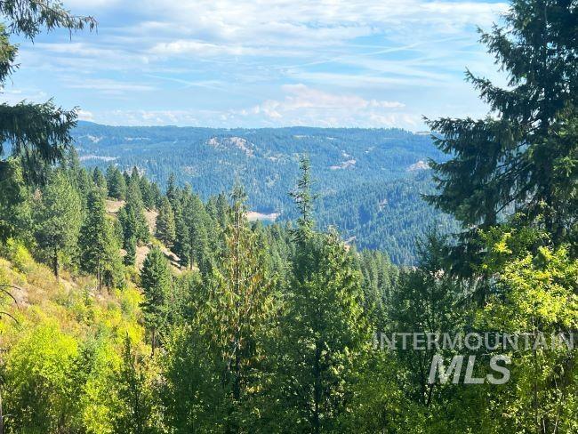 Nka Freeman Creek Road Ahsahka, ID 83520 - Photo 24 of 28