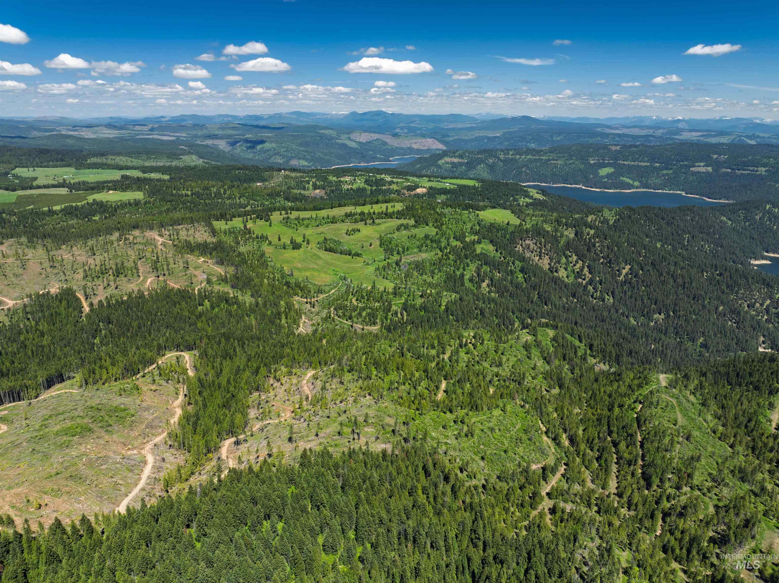Nka Freeman Creek Road Ahsahka, ID 83520 - Photo 24 of 30