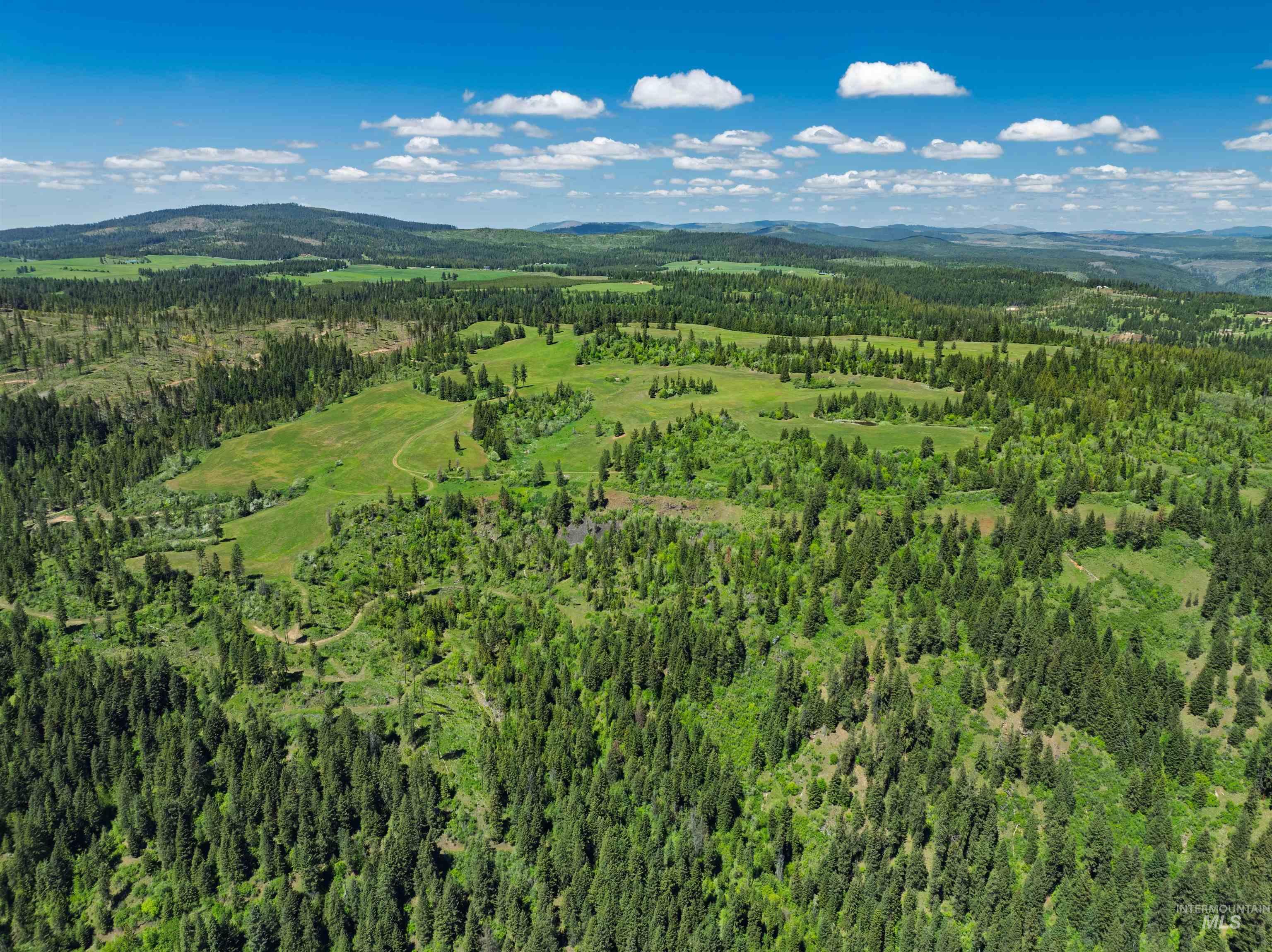 Nka Freeman Creek Road Ahsahka, ID 83520 - Photo 25 of 30