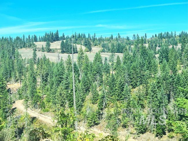 Nka Freeman Creek Road Ahsahka, ID 83520 - Photo 25 of 28