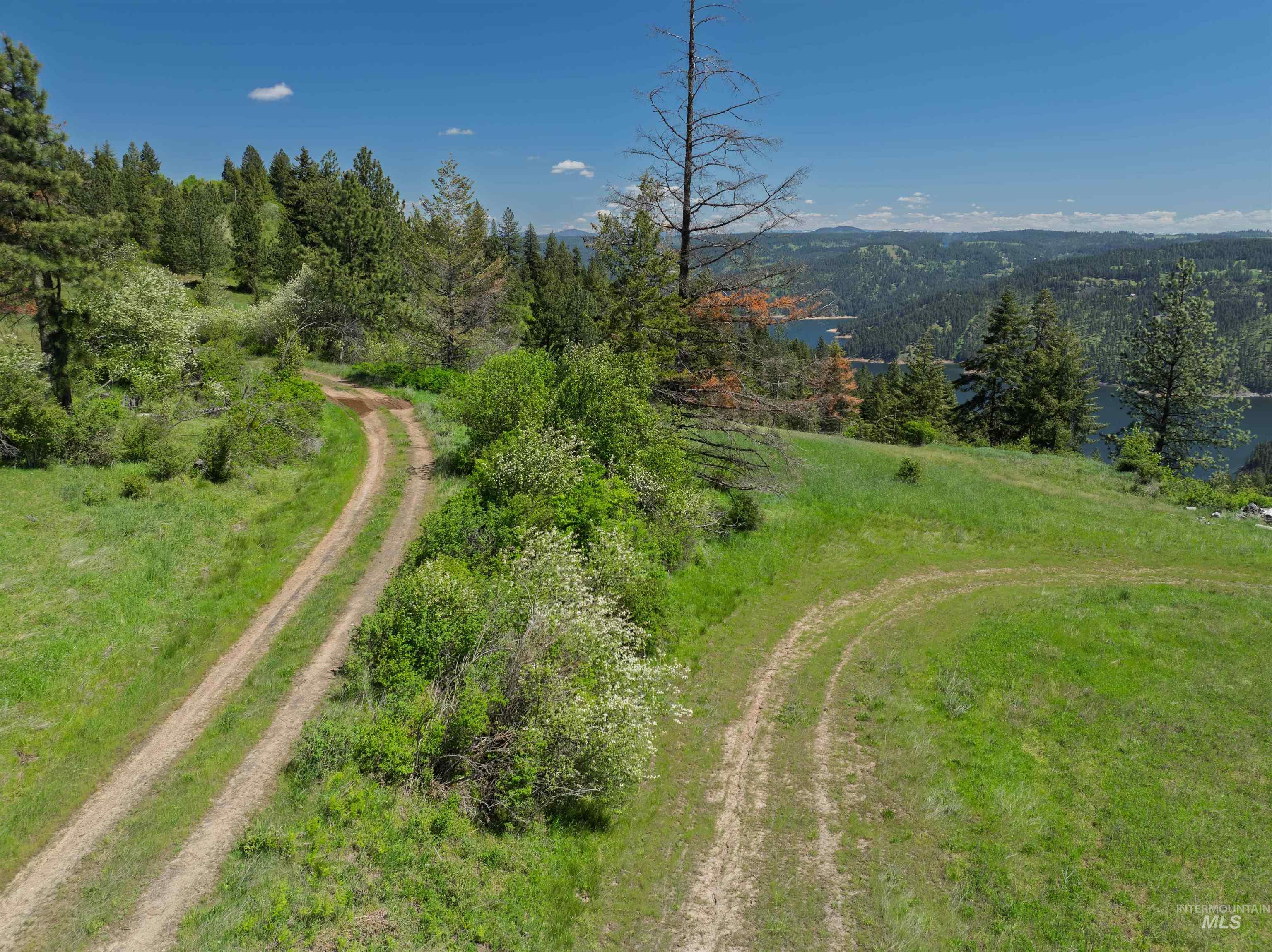 Nka Freeman Creek Road Ahsahka, ID 83520 - Photo 26 of 30