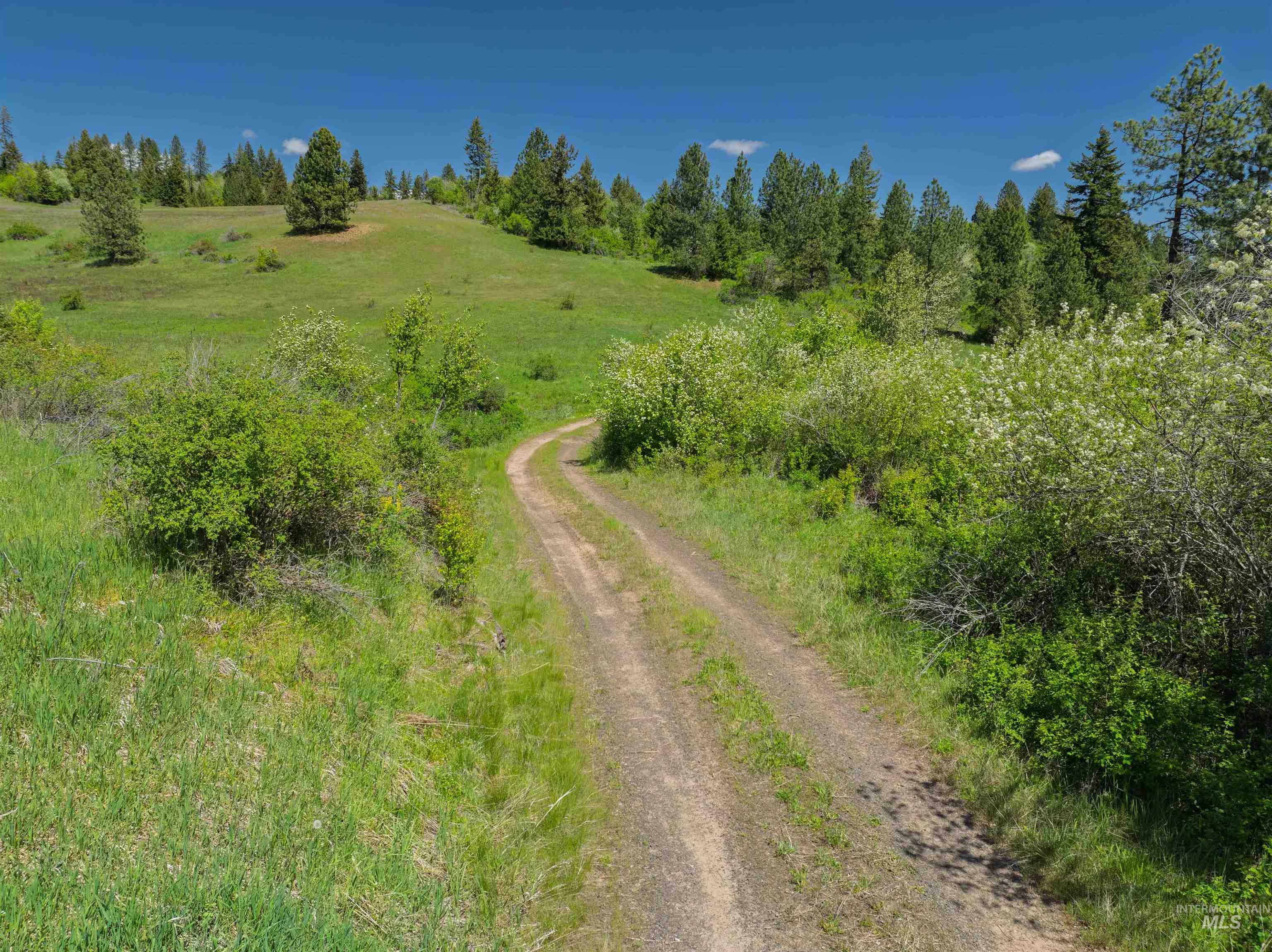 Nka Freeman Creek Road Ahsahka, ID 83520 - Photo 27 of 30