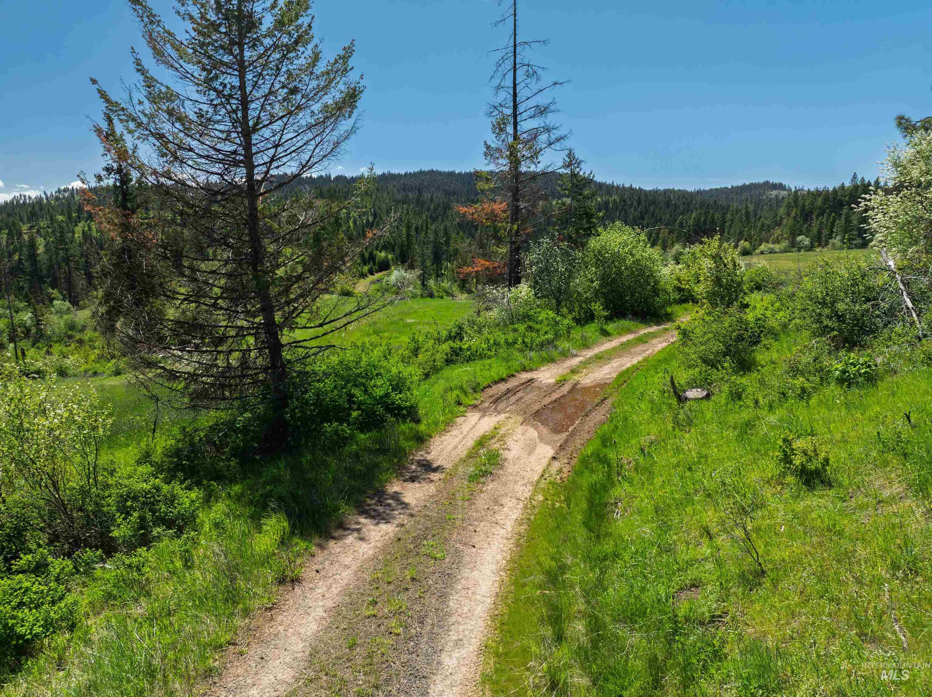Nka Freeman Creek Road Ahsahka, ID 83520 - Photo 28 of 30