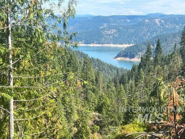 $4,950,000 | Nka Freeman Creek Road, Ahsahka, ID 83520