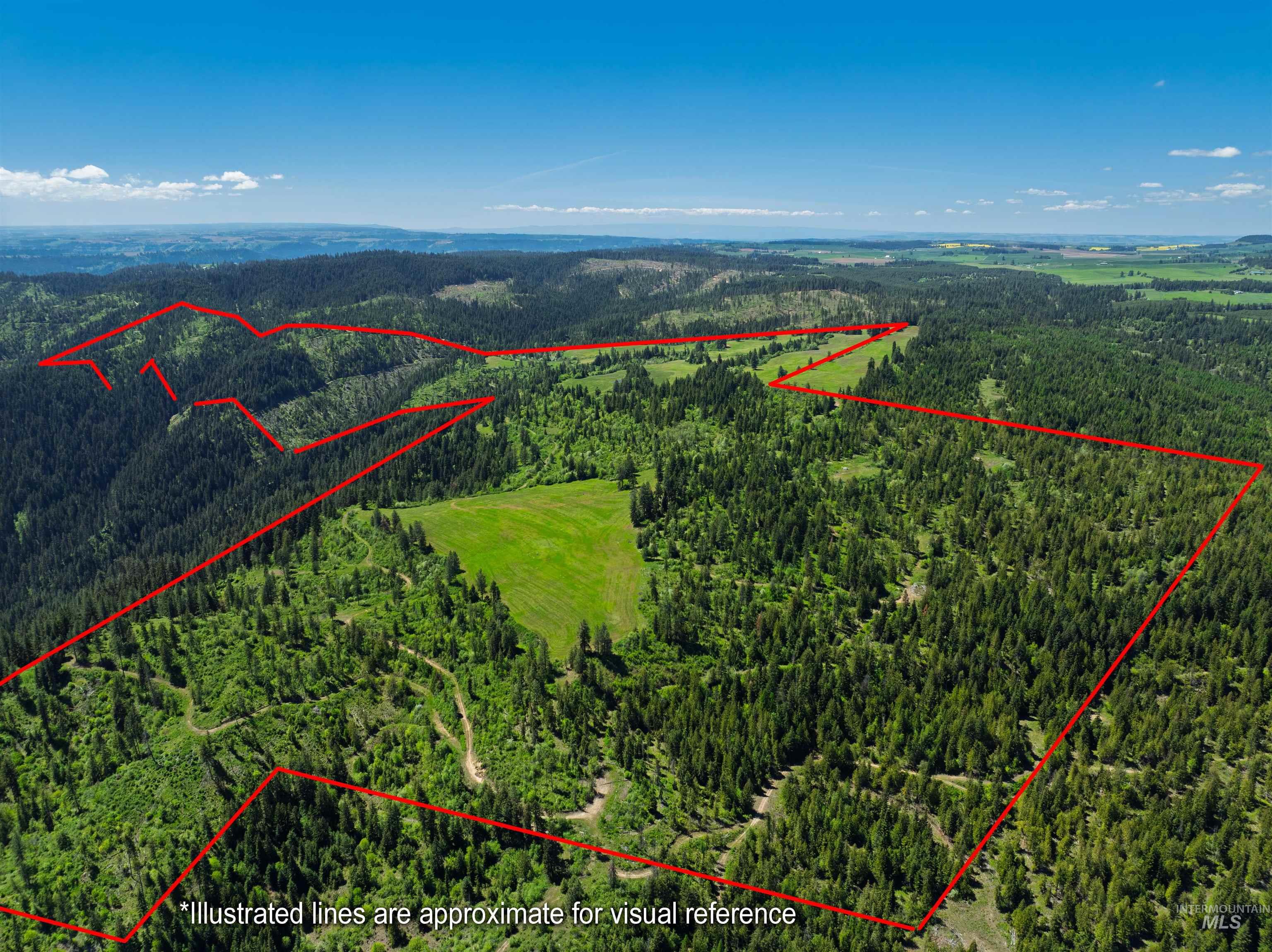 Nka Freeman Creek Road Ahsahka, ID 83520 - Photo 3 of 30