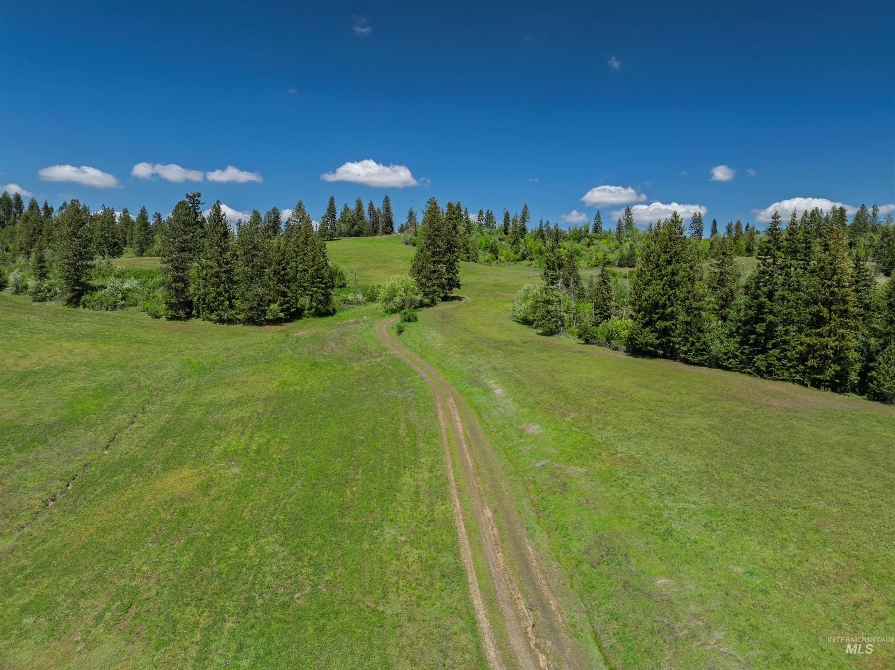 Nka Freeman Creek Road Ahsahka, ID 83520 - Photo 5 of 30