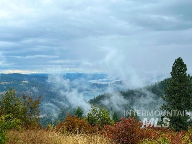 Nka Freeman Creek Road Ahsahka, ID 83520 - Photo 6 of 28