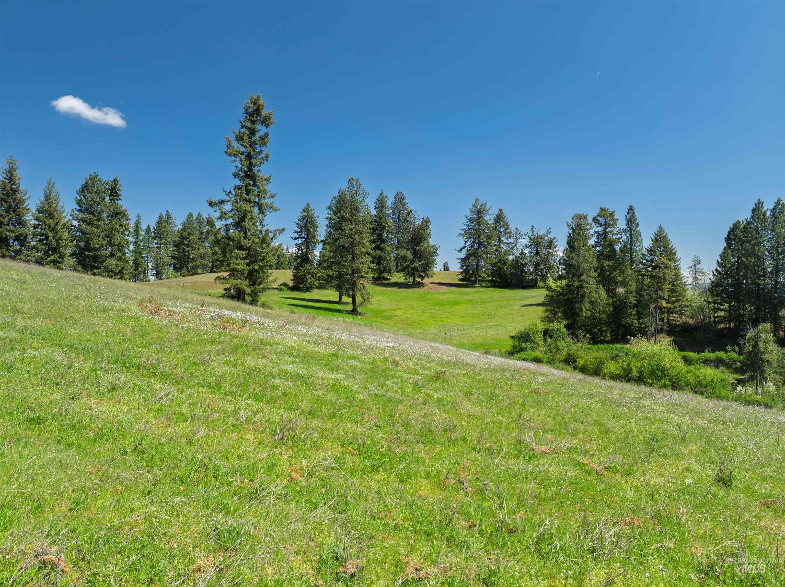 Nka Freeman Creek Road Ahsahka, ID 83520 - Photo 6 of 30