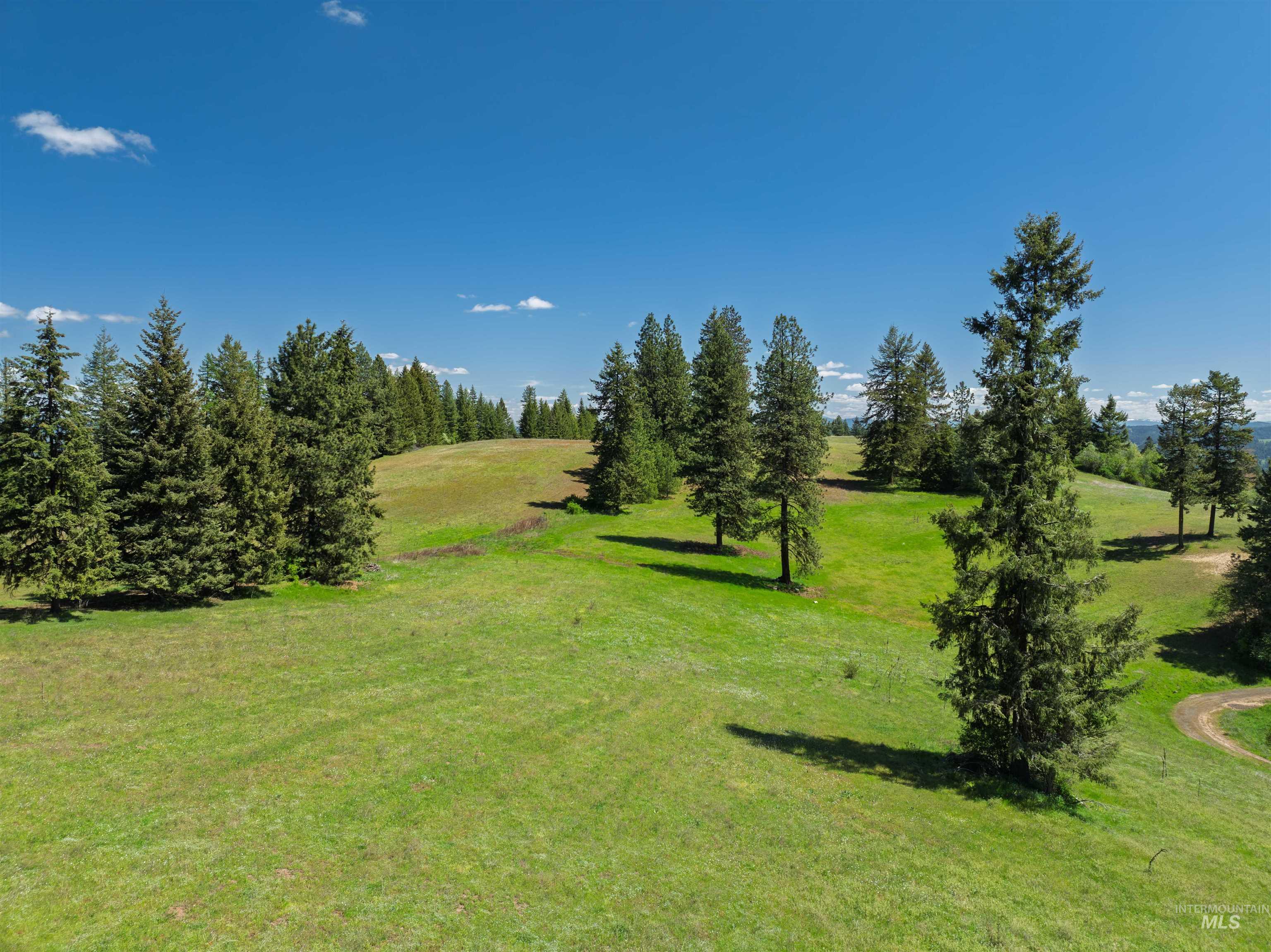 Nka Freeman Creek Road Ahsahka, ID 83520 - Photo 7 of 30
