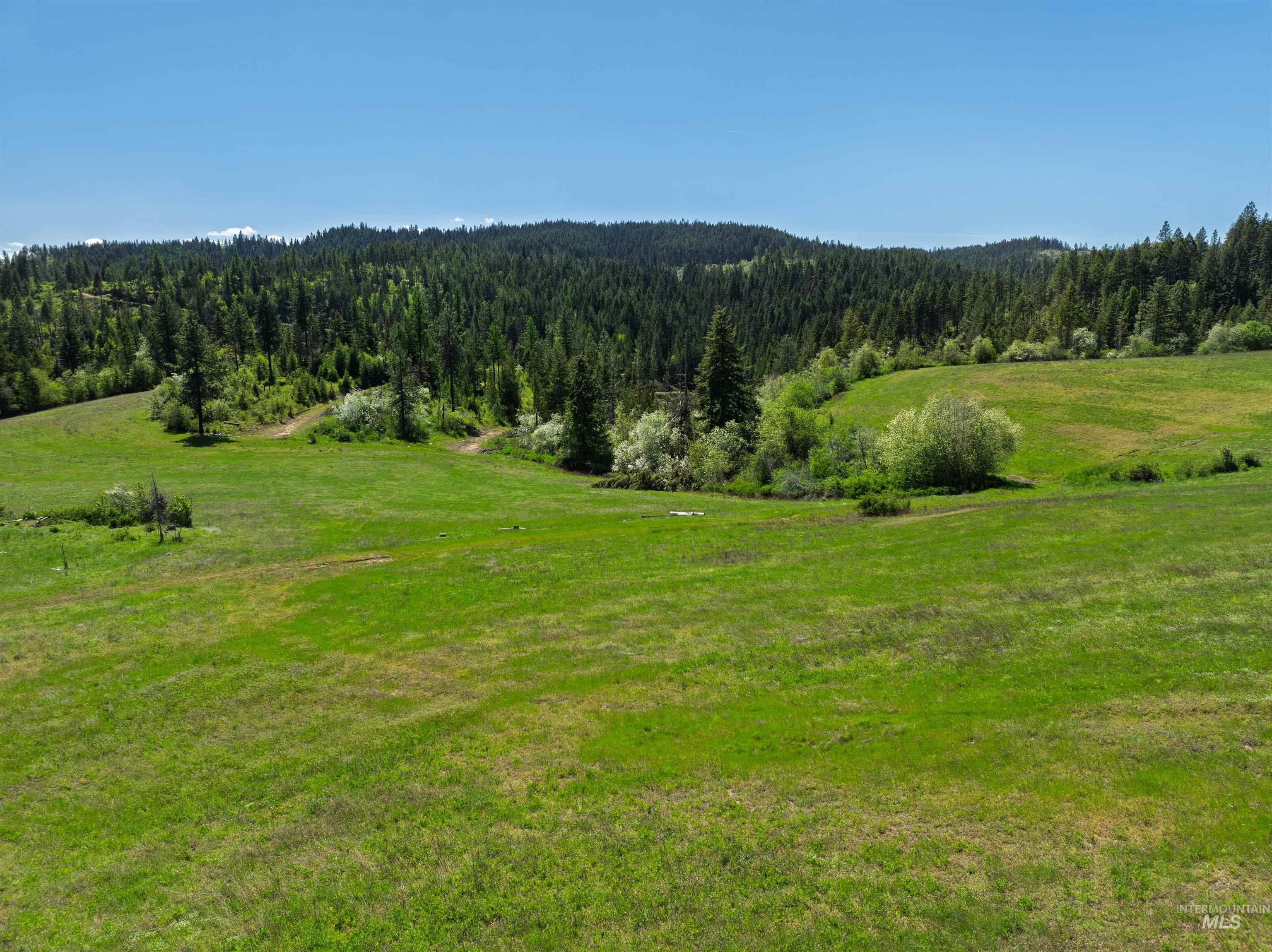 Nka Freeman Creek Road Ahsahka, ID 83520 - Photo 8 of 30
