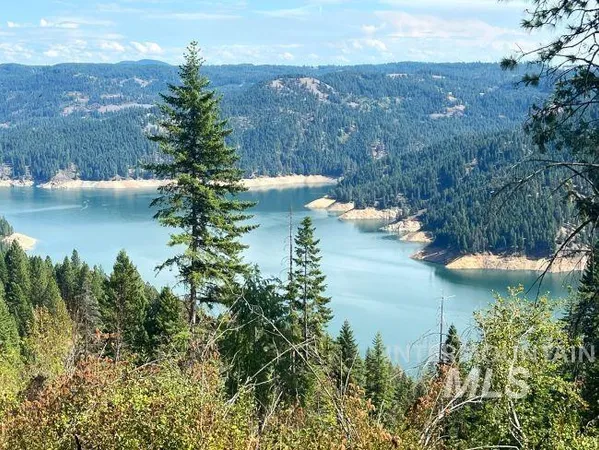 $4,950,000 | Nka Freeman Creek Road, Ahsahka, ID 83520