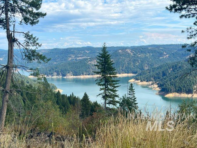 Nka Freeman Creek Road Ahsahka, ID 83520 - Photo 9 of 28