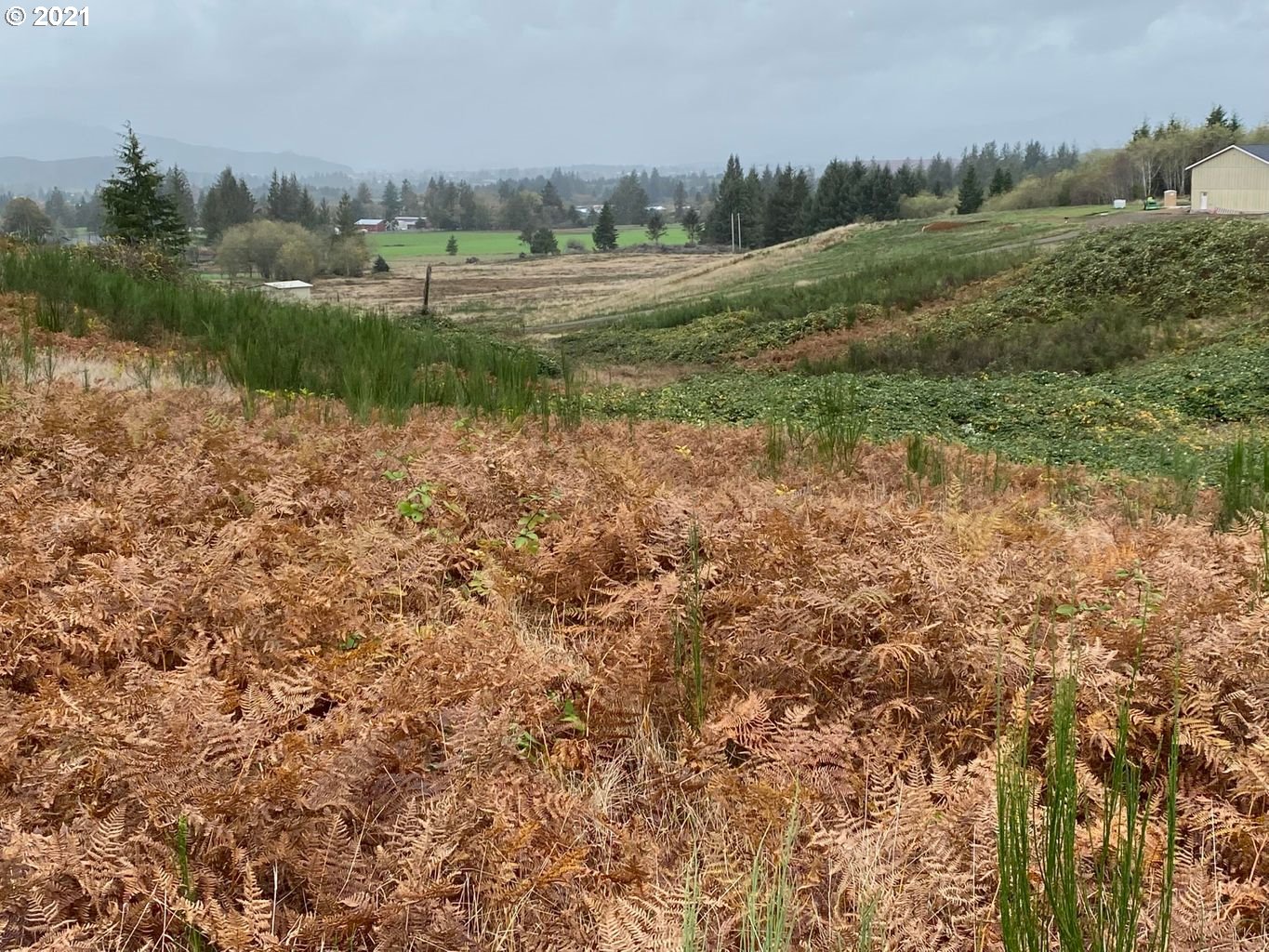 Hurilman Hill Road Tillamook, OR 97141 - Photo 1 of 4 Gallery Image 1