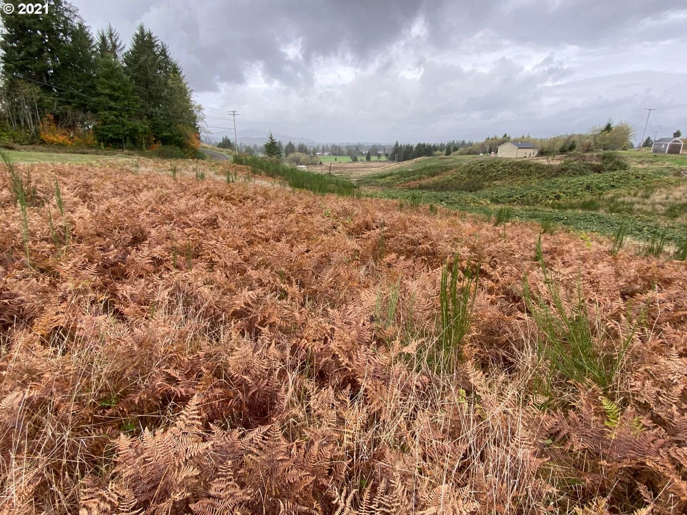 Hurilman Hill Road Tillamook, OR 97141 - Photo 2 of 4 Gallery Image 2