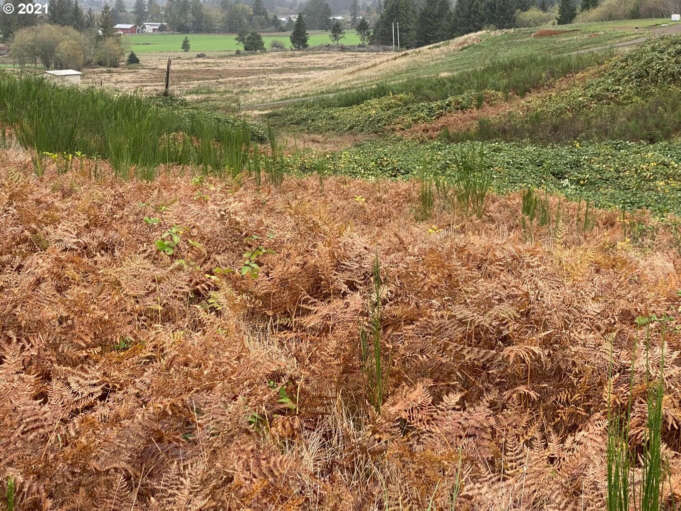 Hurilman Hill Road Tillamook, OR 97141 - Photo 3 of 4 Gallery Image 3