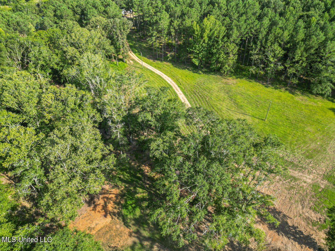 2734 Spring Branch Road Pickens, MS 39146 - Photo 48 of 58 2734 Spring branch drone final-6