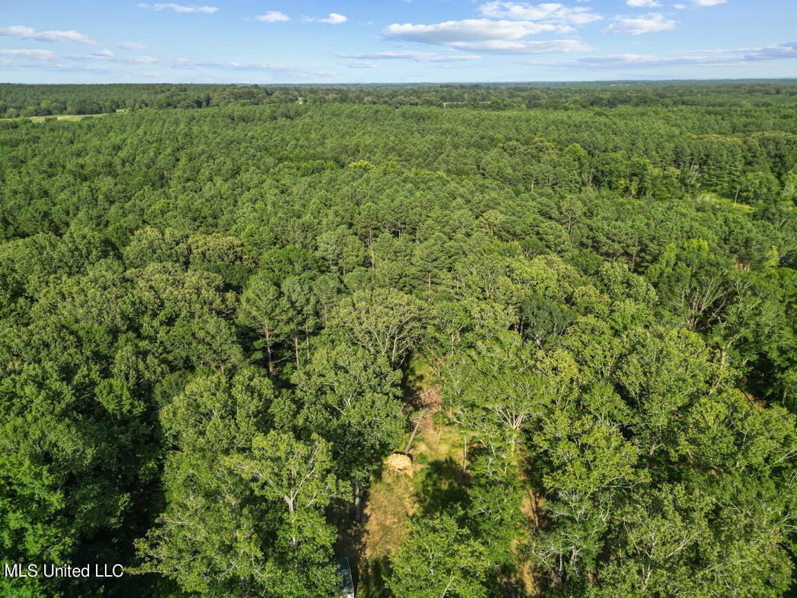 2734 Spring Branch Road Pickens, MS 39146 - Photo 49 of 58 2734 Spring branch drone final-7