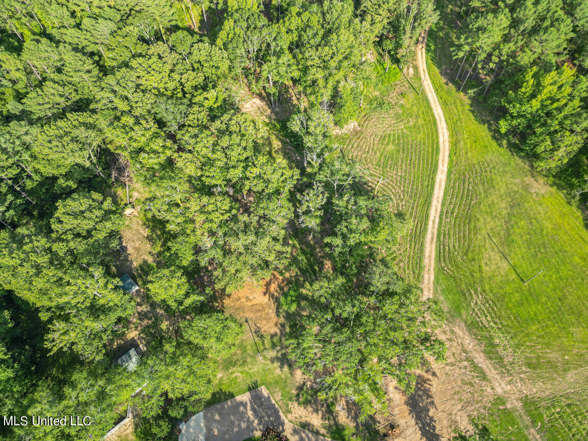 2734 Spring Branch Road Pickens, MS 39146 - Photo 52 of 58 2734 Spring branch drone final-10