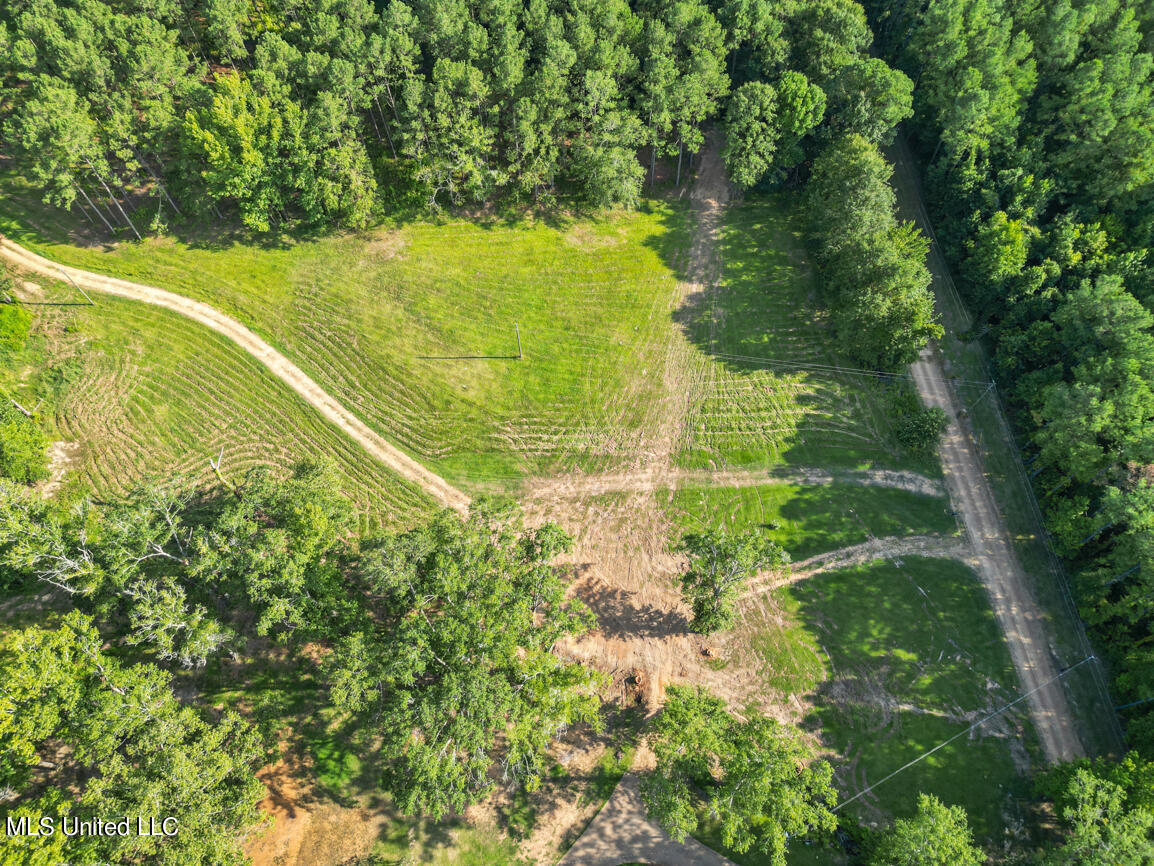 2734 Spring Branch Road Pickens, MS 39146 - Photo 53 of 58 2734 Spring branch drone final-11
