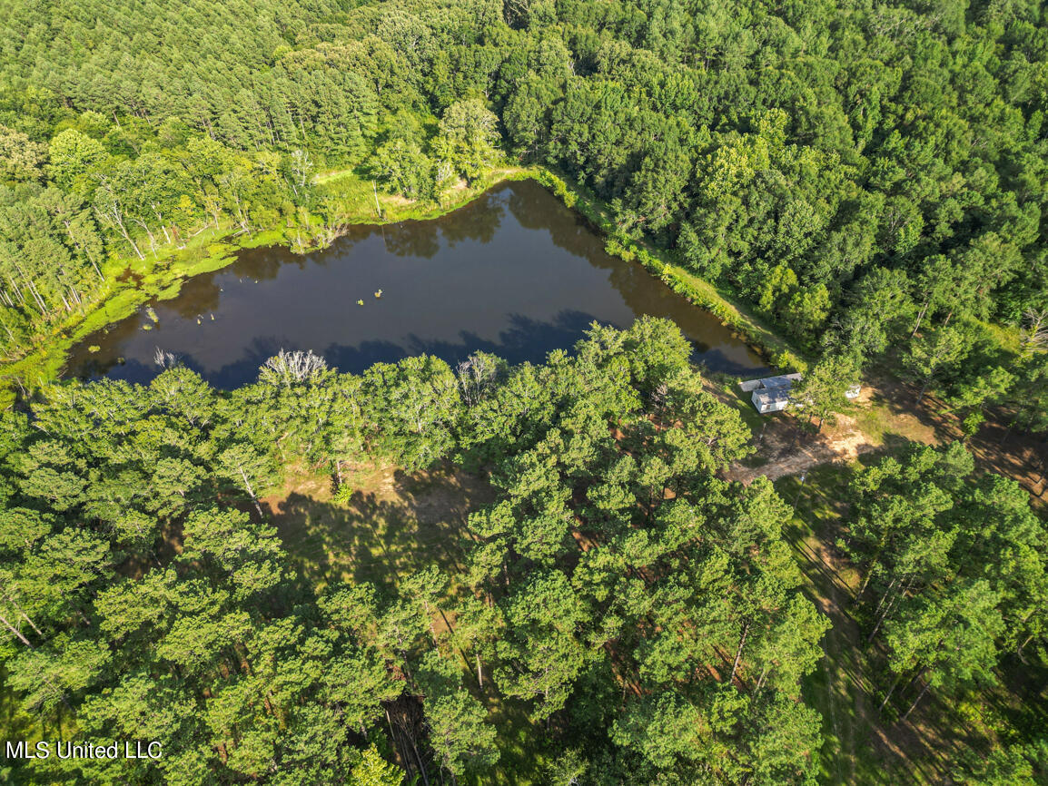 2734 Spring Branch Road Pickens, MS 39146 - Photo 54 of 58 2734 Spring branch drone final-12