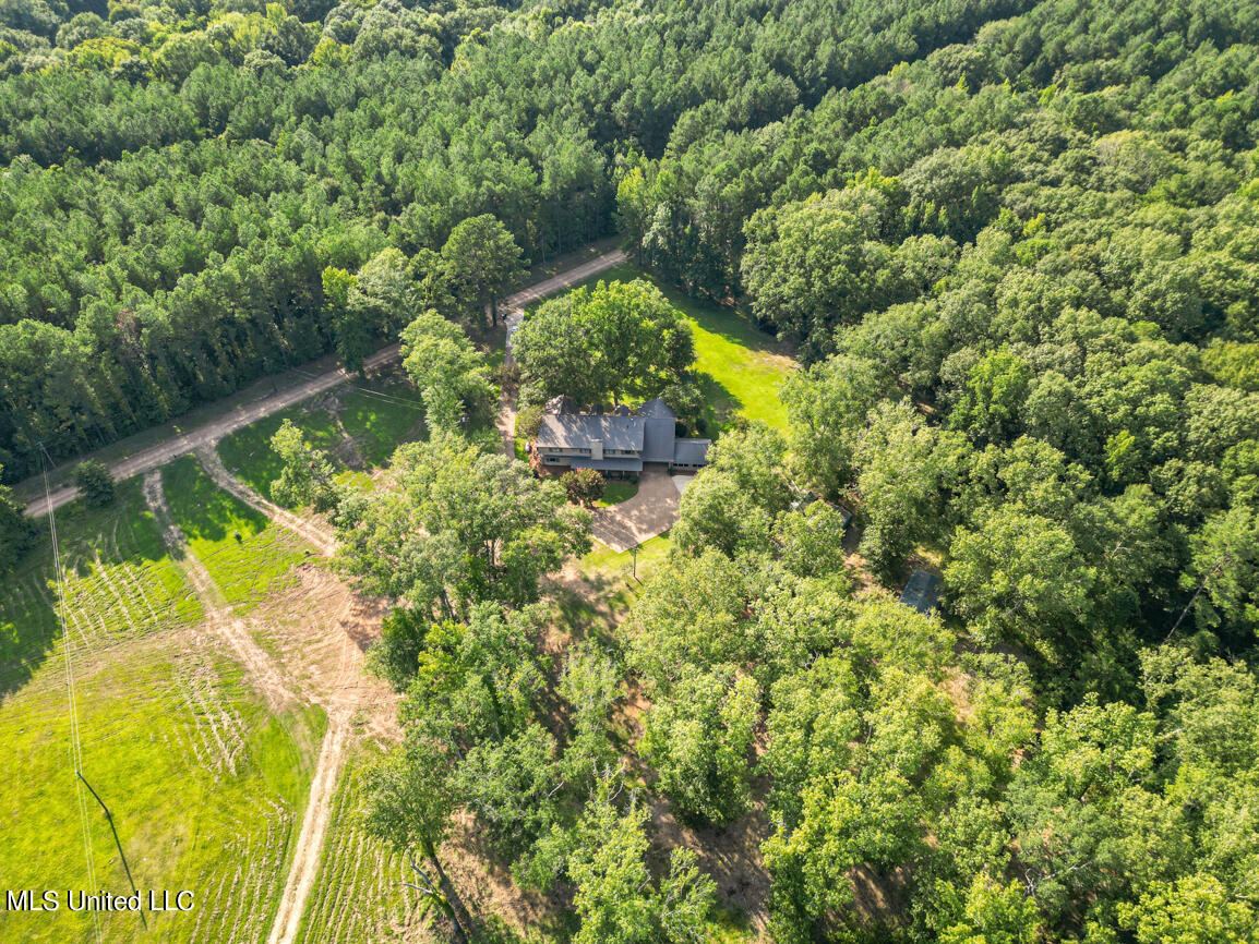 2734 Spring Branch Road Pickens, MS 39146 - Photo 55 of 58 2734 Spring branch drone final-13