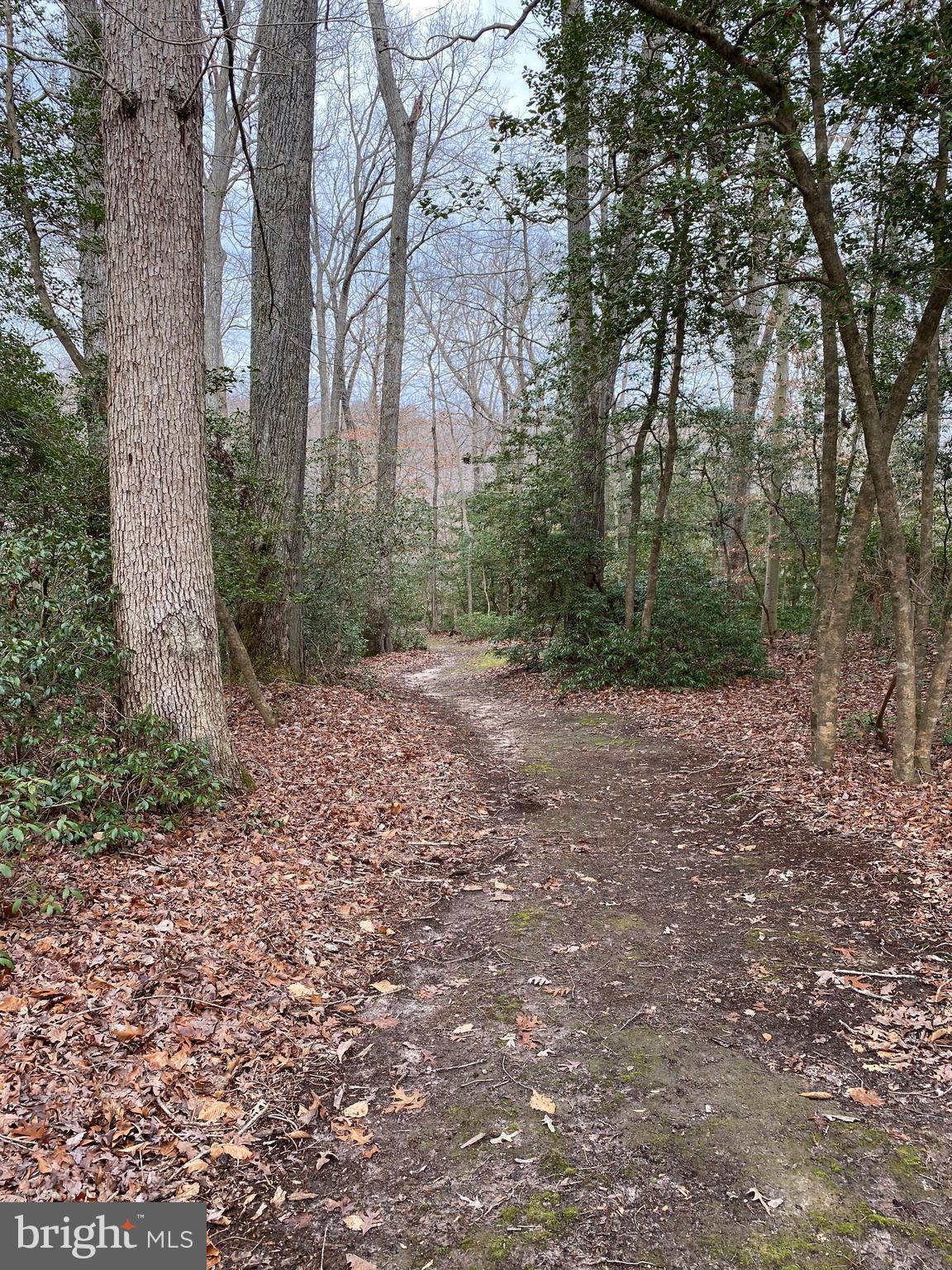 8140 Inner Place Lusby, MD 20657 - Photo 1 of 2 a view of a yard with trees