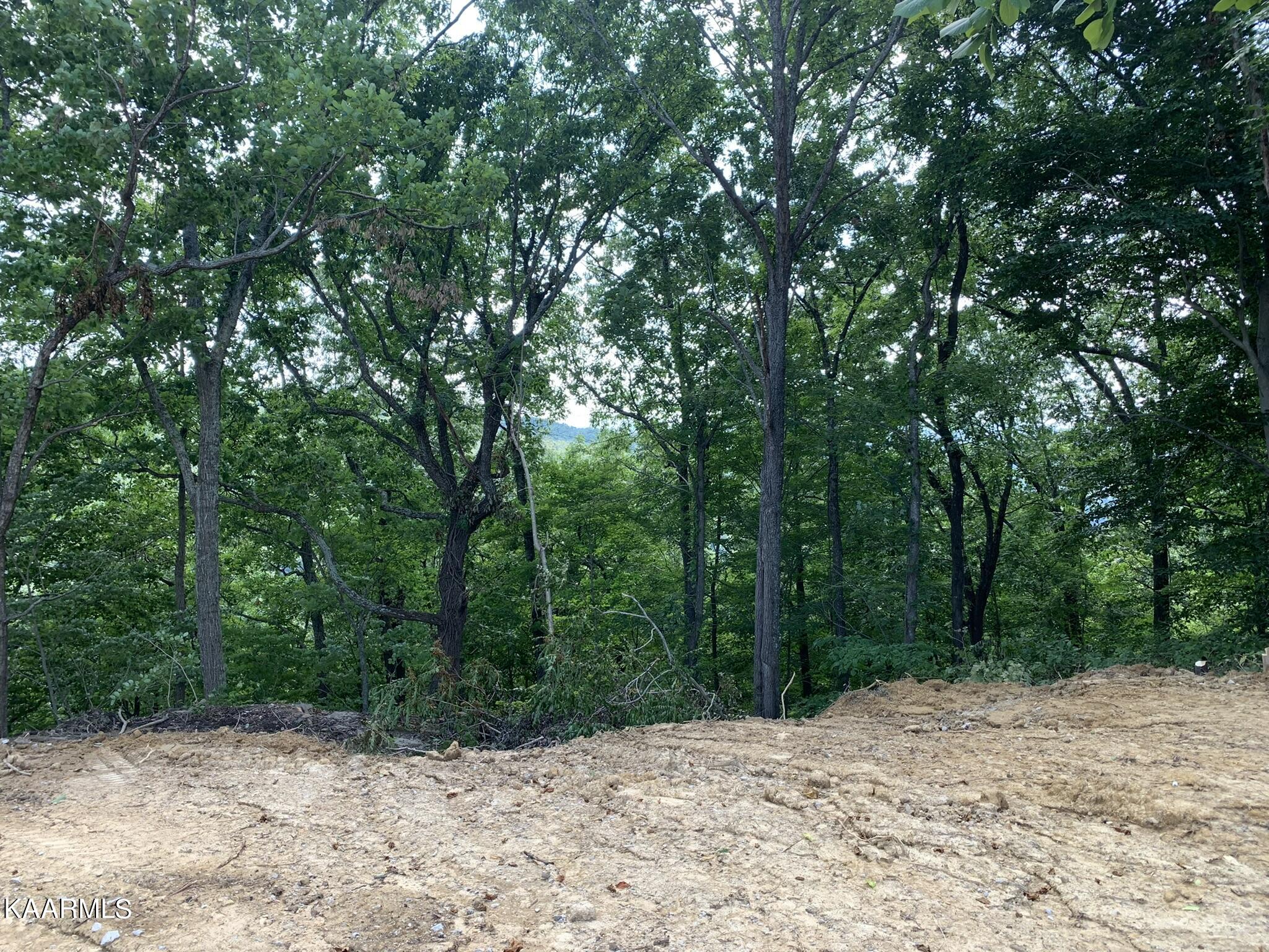 3299 Anderson Road Byrdstown, TN 38549 - Photo 22 of 40 IMG_3989