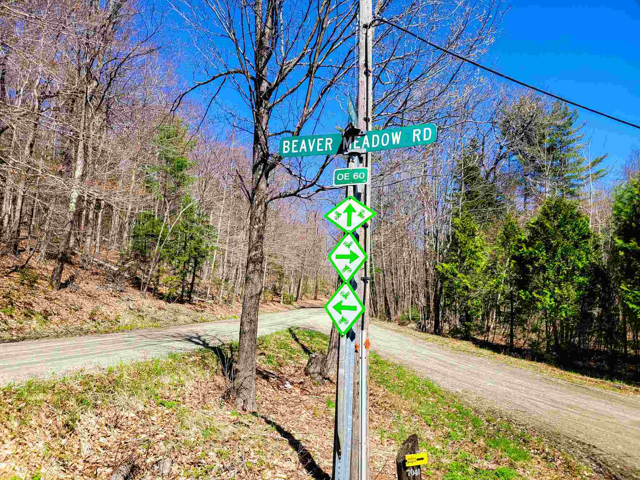 3619 Four Mile Wood Road Roxbury, VT 05669 - Photo 40 of 40