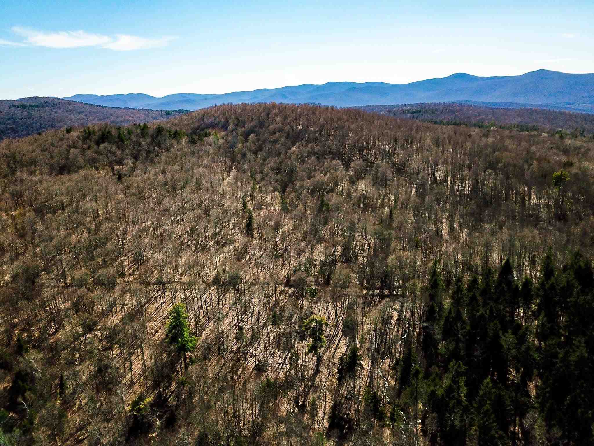 3619 Four Mile Wood Road Roxbury, VT 05669 - Photo 8 of 40