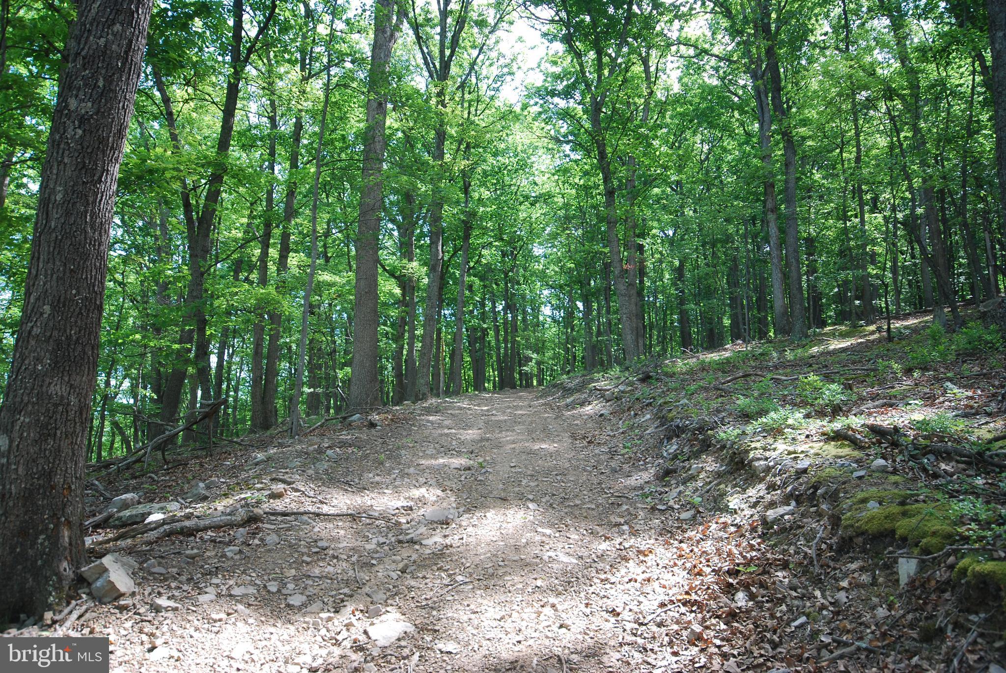 Lot 70-71 Mill Mountain Road Romney, WV 26757 - Photo 13 of 52