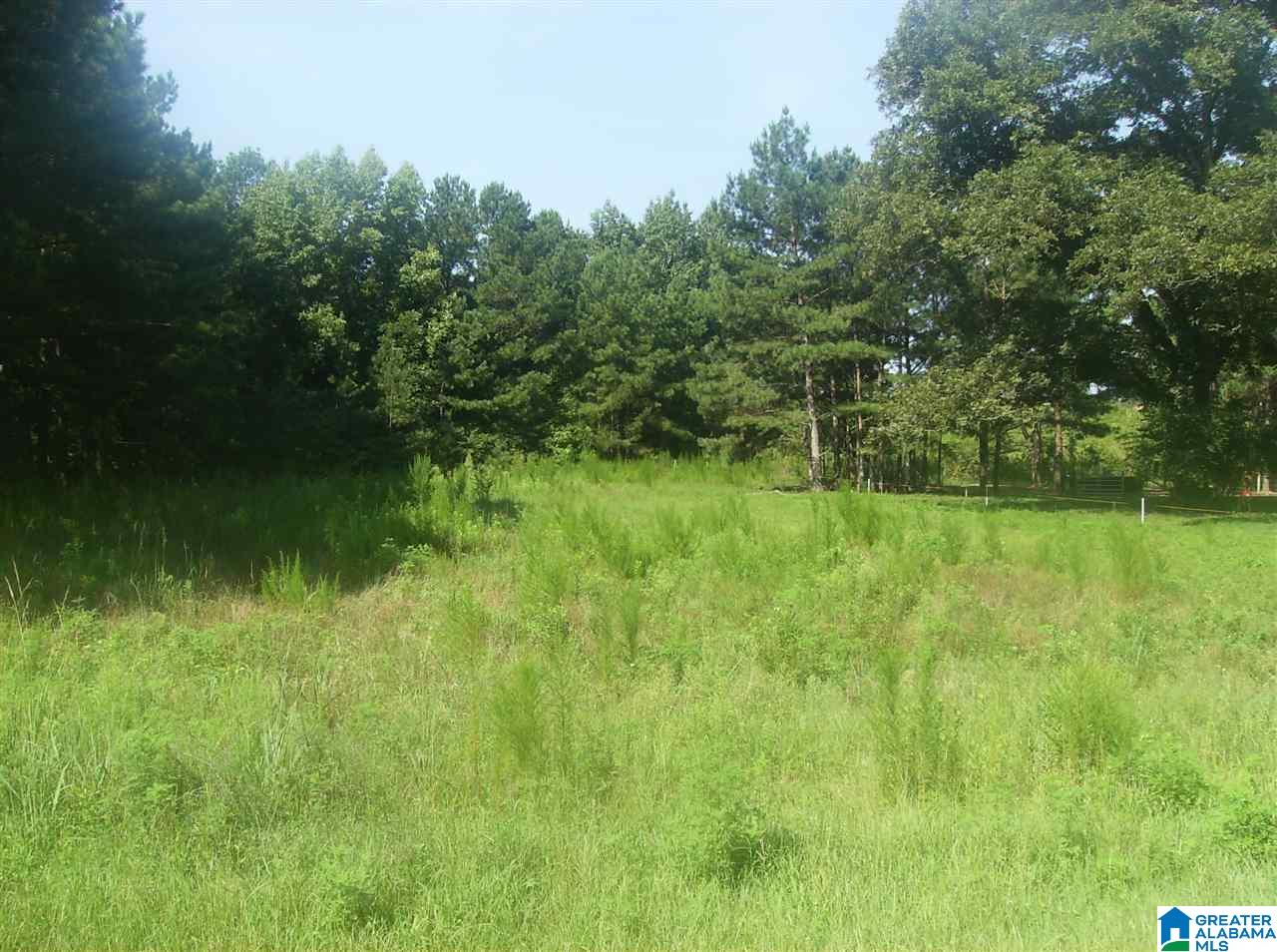 A County Road 73, Unit 1 Randolph, AL 36792 - Photo 2 of 3