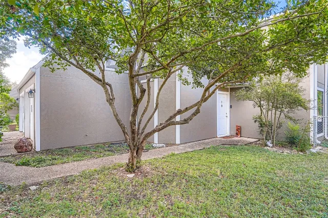 a tree in front of a house with a large tree