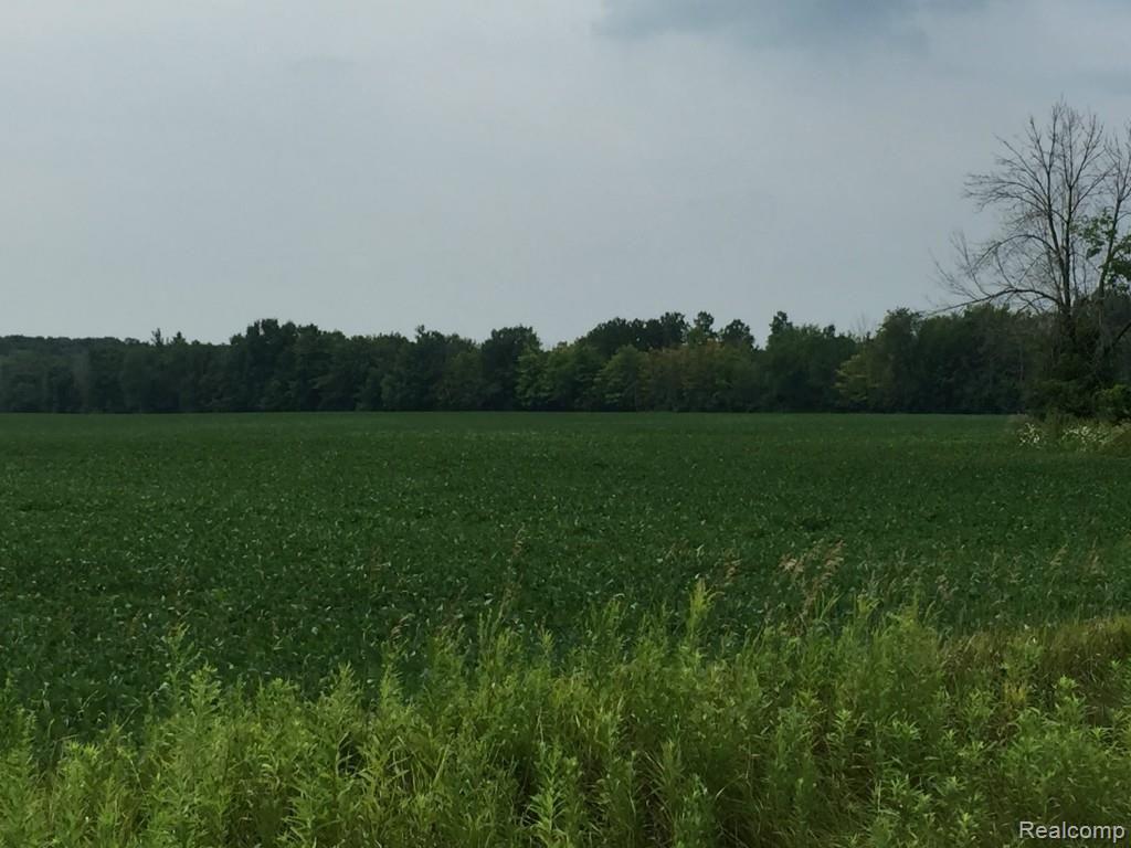 0 Wilkes Road Yale, MI 48097 - Photo 2 of 7