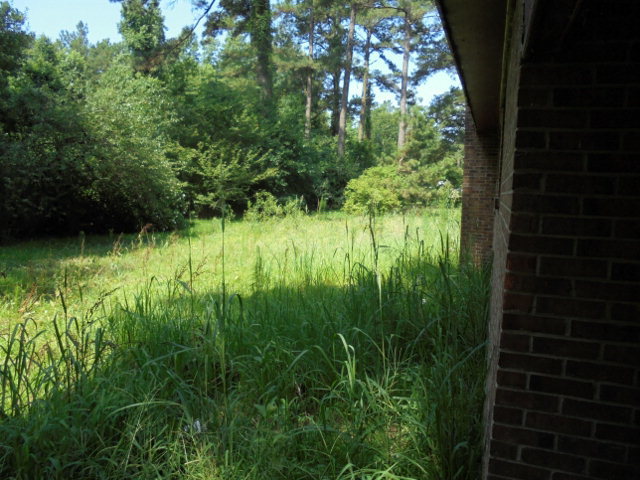 4271 South Robeson Road Rowland, NC 28383 - Photo 4 of 6 Additional Photo