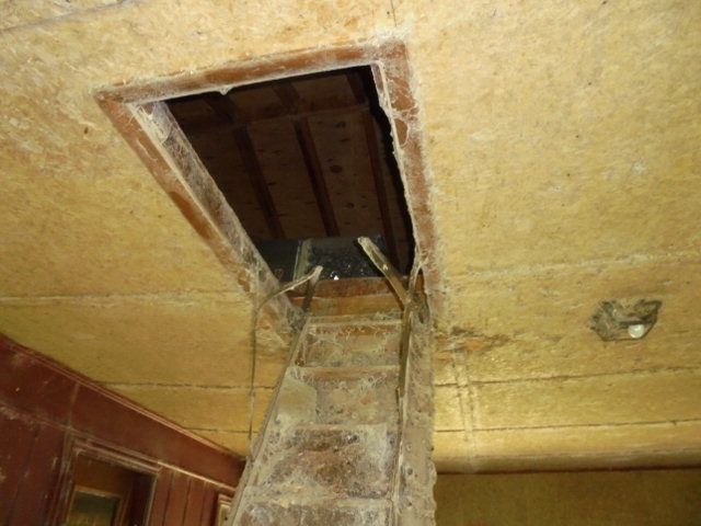 4271 South Robeson Road Rowland, NC 28383 - Photo 5 of 6 Additional Photo