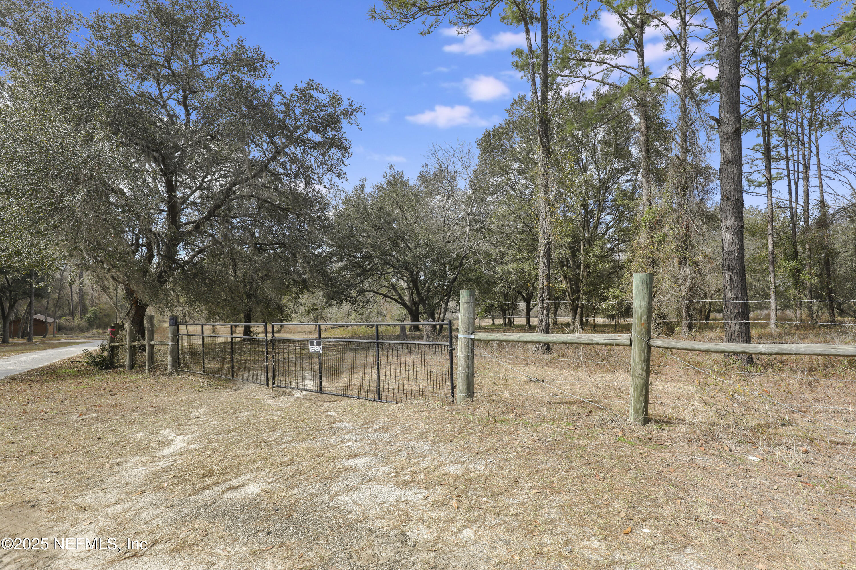 6769 Sandsdale Road Glen St. Mary, FL 32040 - Photo 11 of 31 a view of backyard with green space