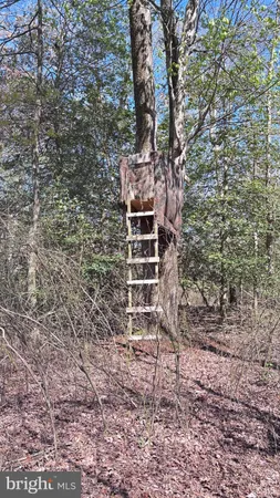 $425,000 | 25095 Trunk Line Road, Henderson, MD 21640