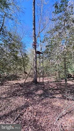 $425,000 | 25095 Trunk Line Road, Henderson, MD 21640