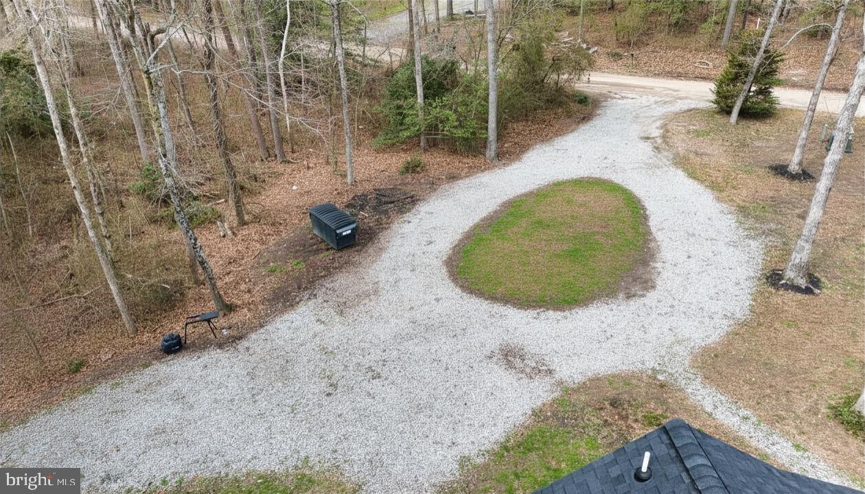 25095 Trunk Line Road Henderson, MD 21640 - Photo 7 of 9 Serene gravel drive in wooded retreat.