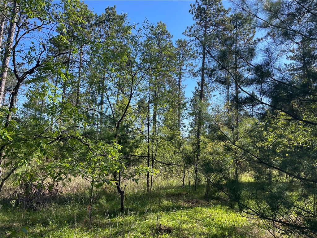 Lot 2 Murphy Boulevard Hayward, WI 54843 - Photo 2 of 10