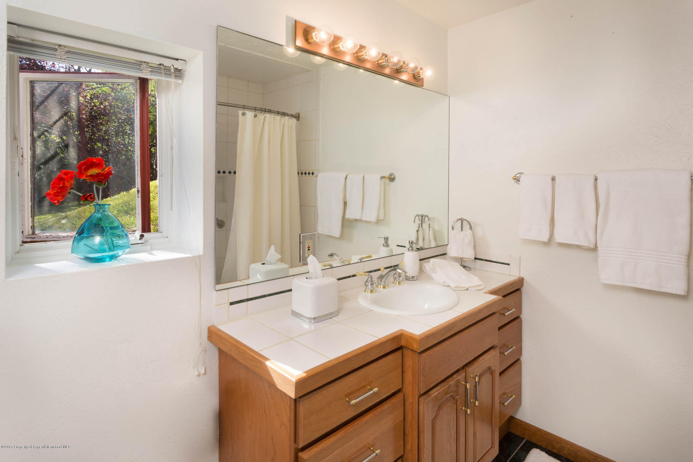 838 Sinclair Road Snowmass Village, CO 81615 - Photo 17 of 30 Guest Bath