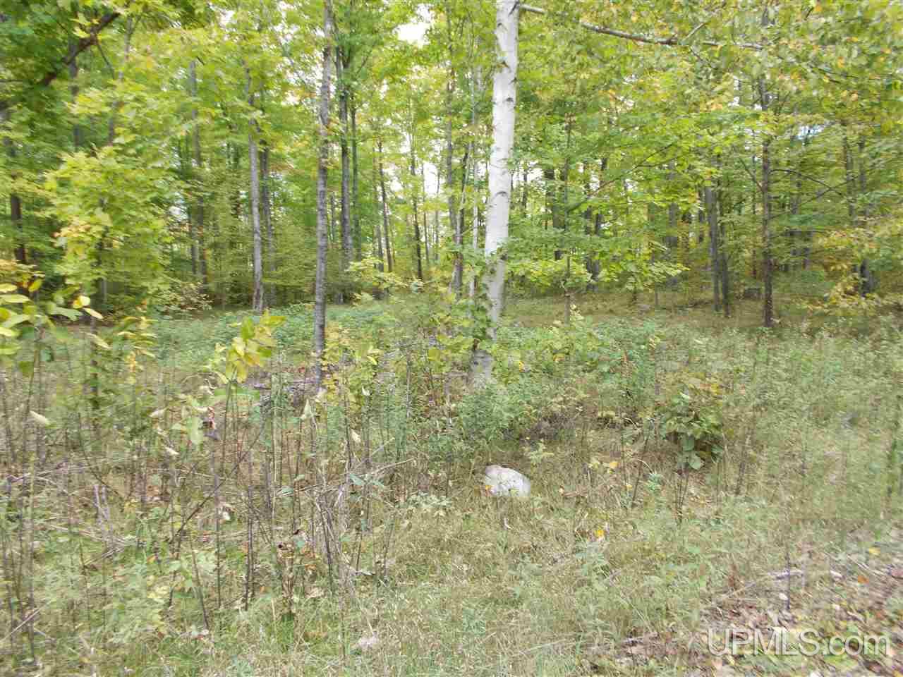 50-acres Camp Nine Road Ralph, MI 49877 - Photo 3 of 12