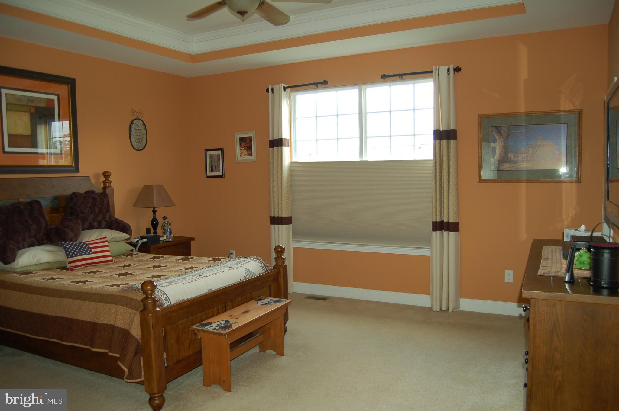 208 Davish Road Coatesville, PA 19320 - Photo 14 of 28 Master bedroom with tray ceiling & 2 closets