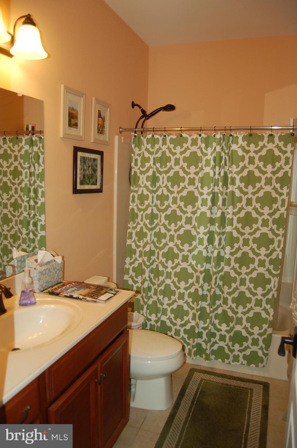 208 Davish Road Coatesville, PA 19320 - Photo 19 of 28 Hall bath