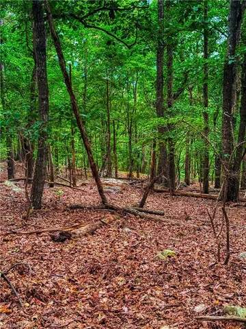 $54,900 | 1996 Sierra Trace Road, Denton, NC 27239